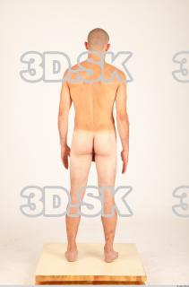 Body texture of Hanus 0043